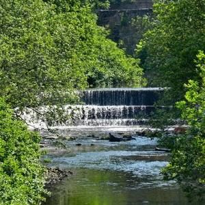 Meet your Posher, Van